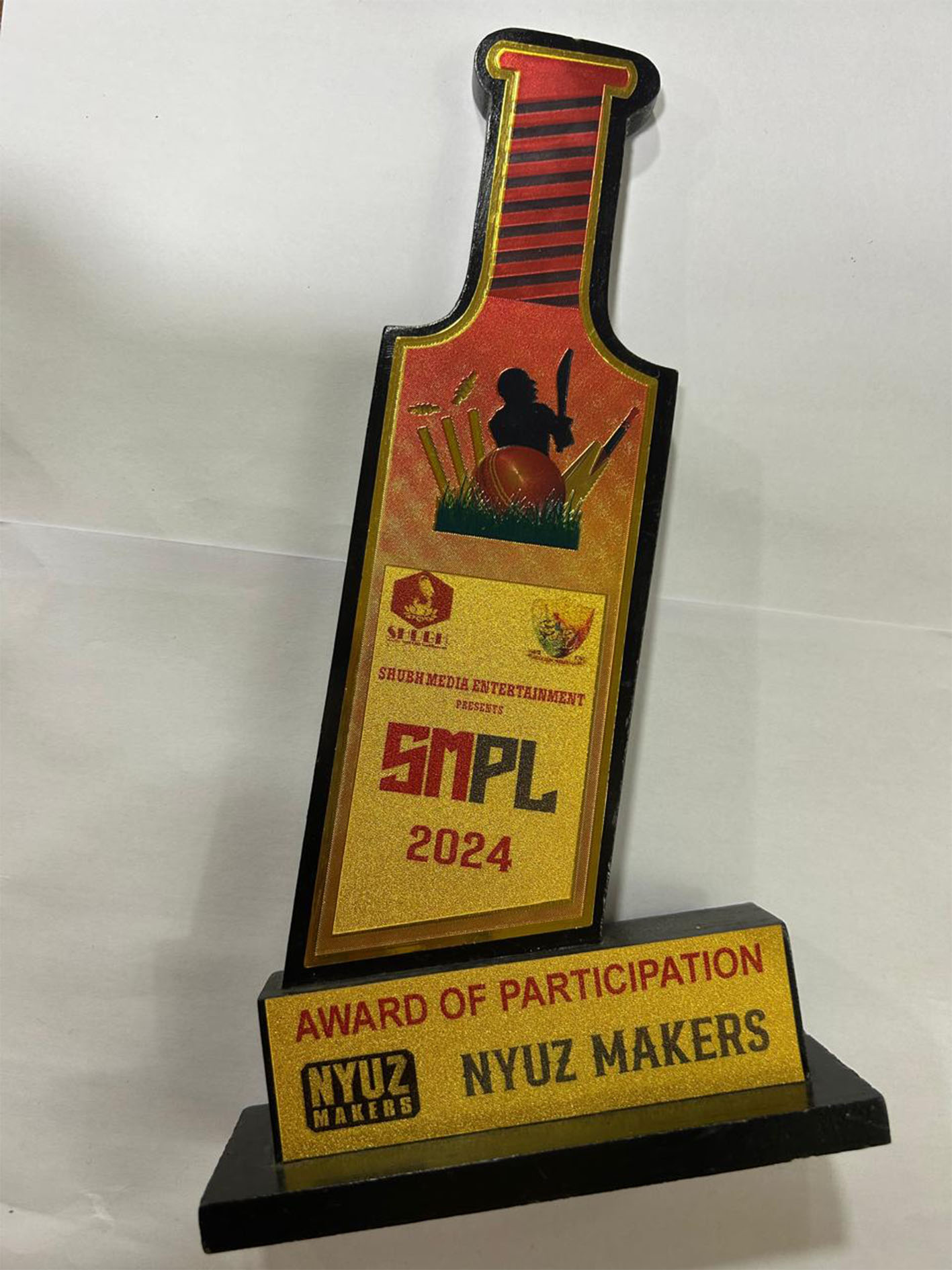 Award of Participation